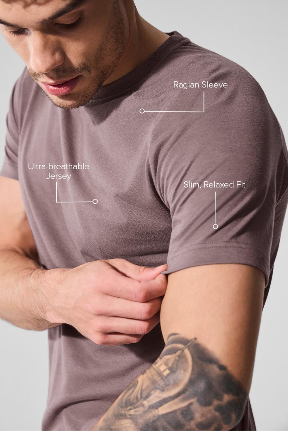 Camisetas Running Alo Yoga Triumph Raglan Hombre Mushroom | Chile  05472-IWHL